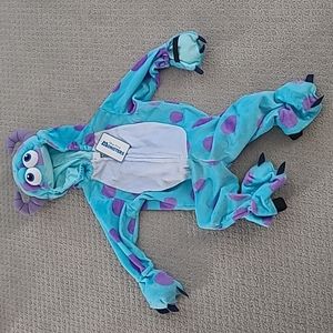 Sully from Monsters Inc (2T)